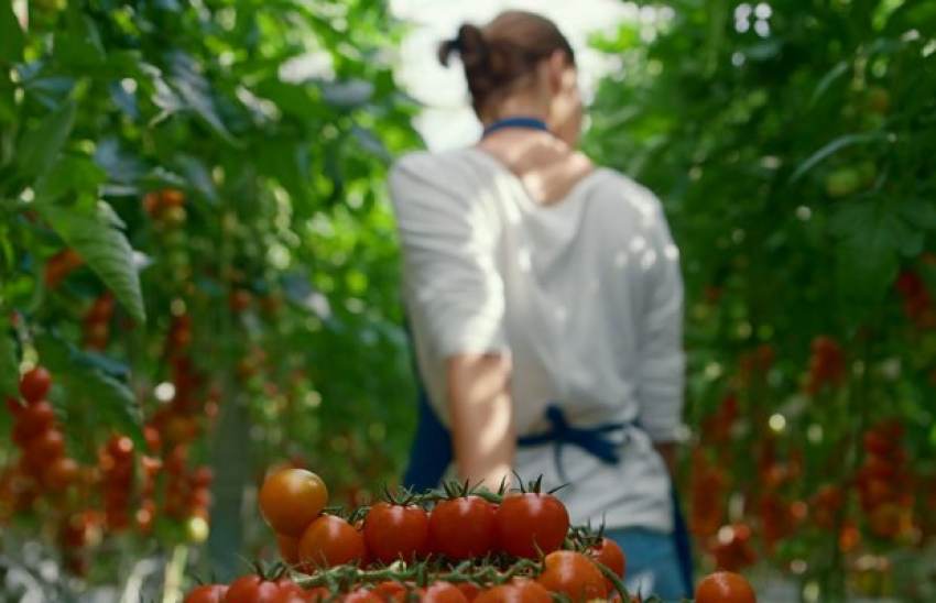 Κρητικοί και Μεσσήνιοι ζητούν από Πρωθυπουργό μέτρα για εργάτες και κόστος