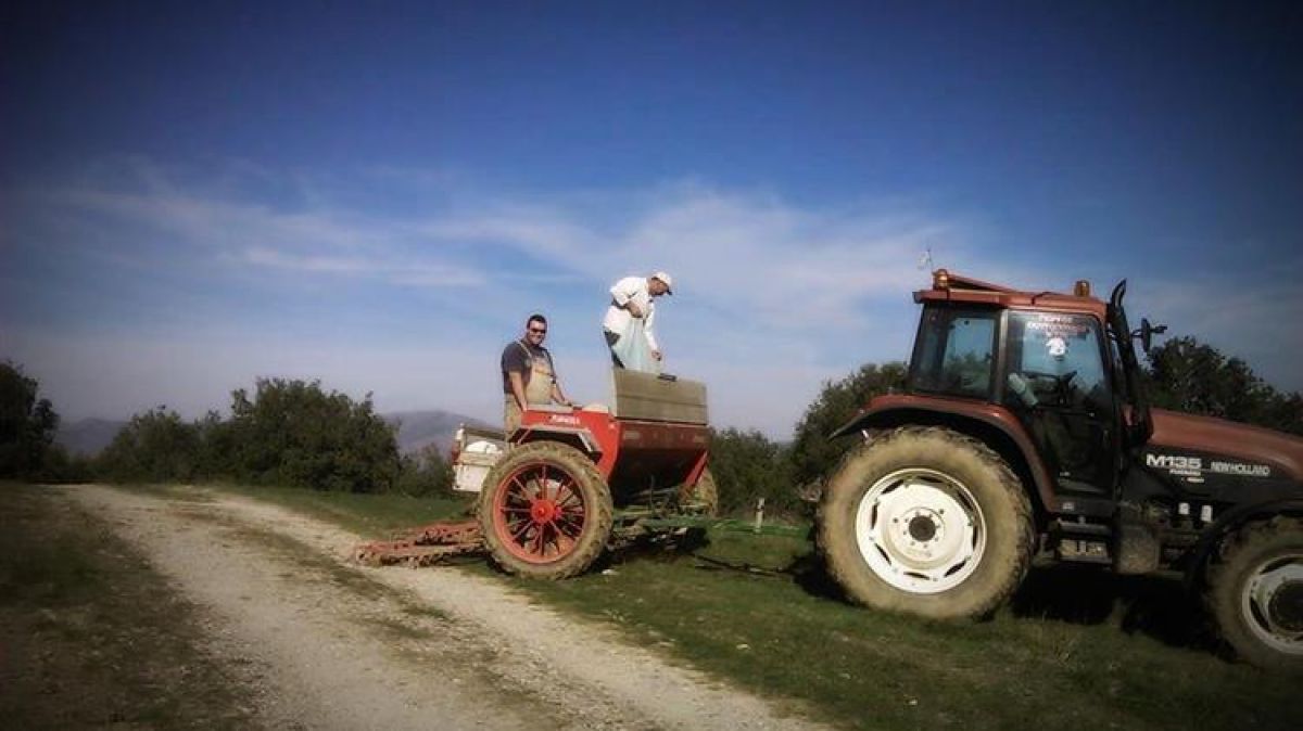 Χρόνος ασφάλισης και εκκαθάρισης ασφαλιστικών εισφορών για τους εργάτες γης