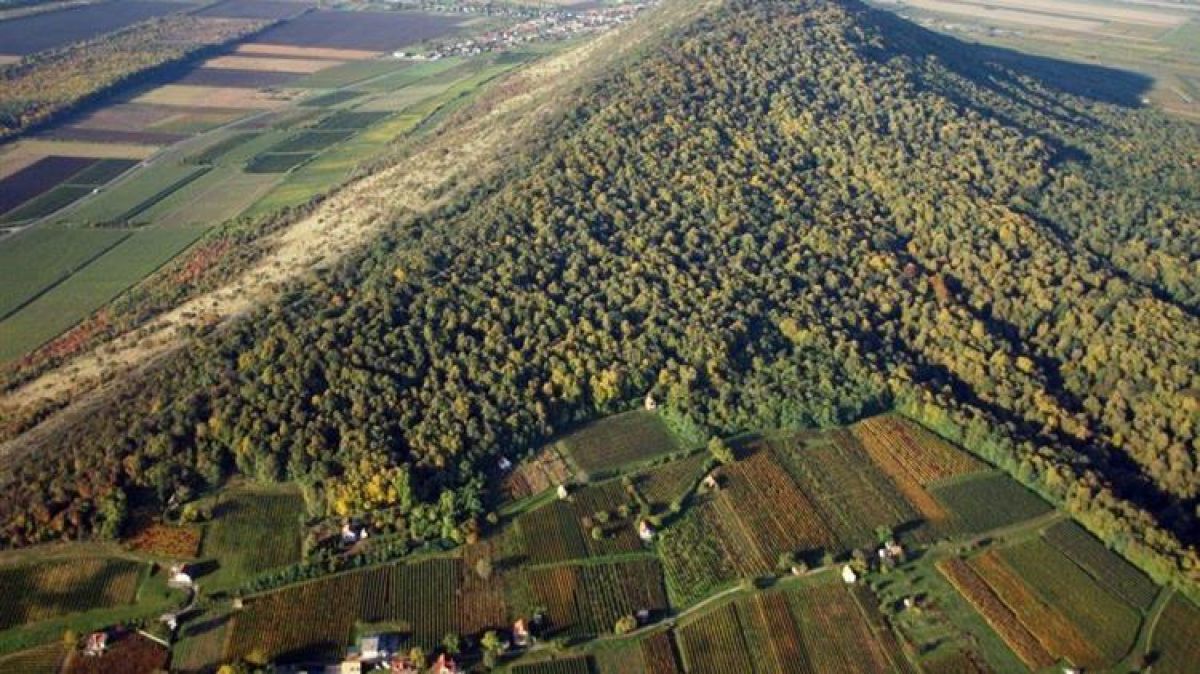 Υπ. Περιβάλλοντος: Όλα όσα πρέπει να γνωρίζουμε για τους δασικούς χάρτες