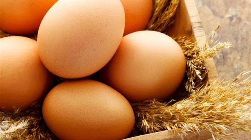 ΙΝΚΑ: Κοτόπουλα και αυγά ακατάλληλα για κατανάλωση στην αγορά - Αιχμές για το ΥΠΑΑΤ