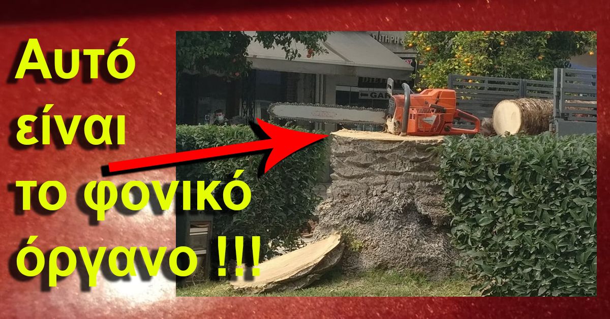 ΑΥΤΟ ΕΙΝΑΙ ΤΟ ΦΟΝΙΚΟ ΟΡΓΑΝΟ !!!!!