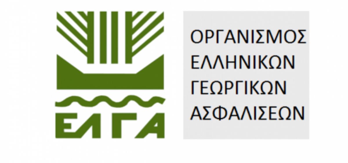 Δηλώσεις ζημιών από την καταστροφική πυρκαγιά