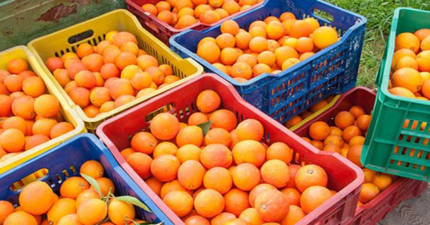 Ιταλοί και ζήτηση απογείωσαν τις τιμές, στα 35 λεπτά τα Lane και στα 25 τα Βαλέντσια