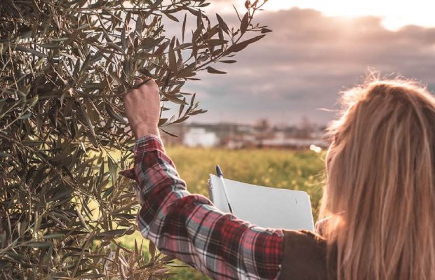 Κιμπάρηδες οι Έλληνες, δεν ζητούν χρήματα για ζημιές από την Κομισιόν