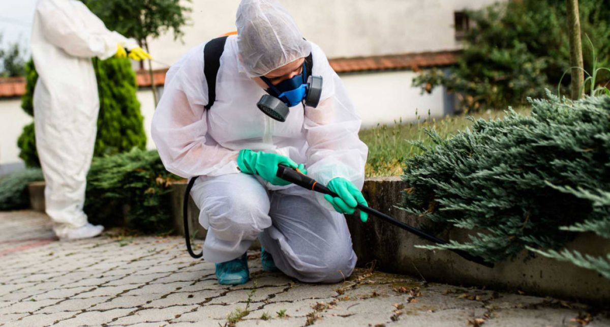 ΔΗΜΟΣ ΜΟΝΕΜΒΑΣΙΑΣ: Υλοποίηση προγράμματος καταπολέμησης κουνουπιών για το έτος 2022