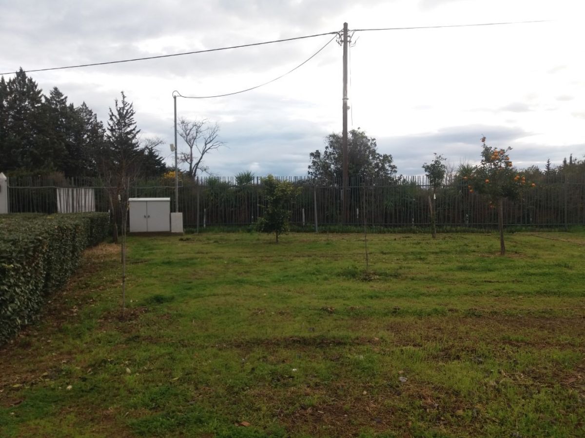 100 νέα δέντρα της Ελληνικής χλωρίδας φυτεύτηκαν στο Άλσος Αθ. Γουδέ