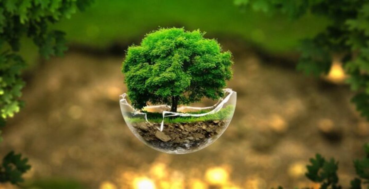 Πρόταση για ανακαίνιση, αναβάθμιση Δημοτικών Κτιρίων στο Πράσινο Ταμείο