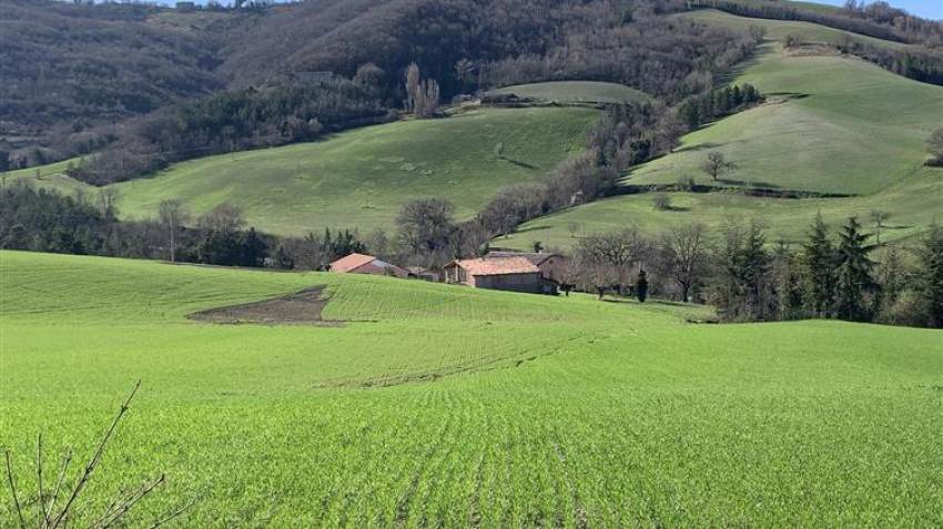 ΟΠΕΚΕΠΕ: Για τους ελέγχους με τη μέθοδο του Monitoring στο πλαίσιο της ΕΑΕ 2022