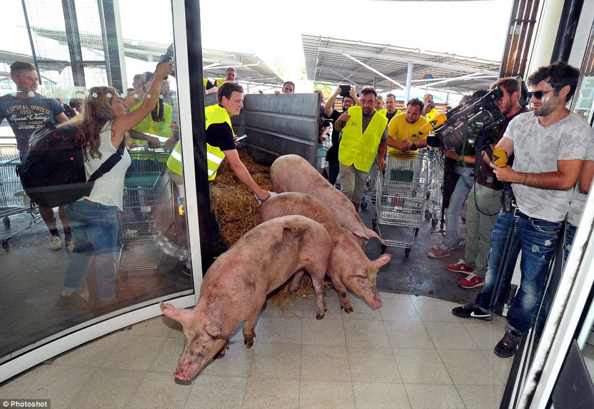 Υπουργείων Ψηφιακής Διακυβέρνησης και Αγροτικής Ανάπτυξης &amp; Τροφίμων