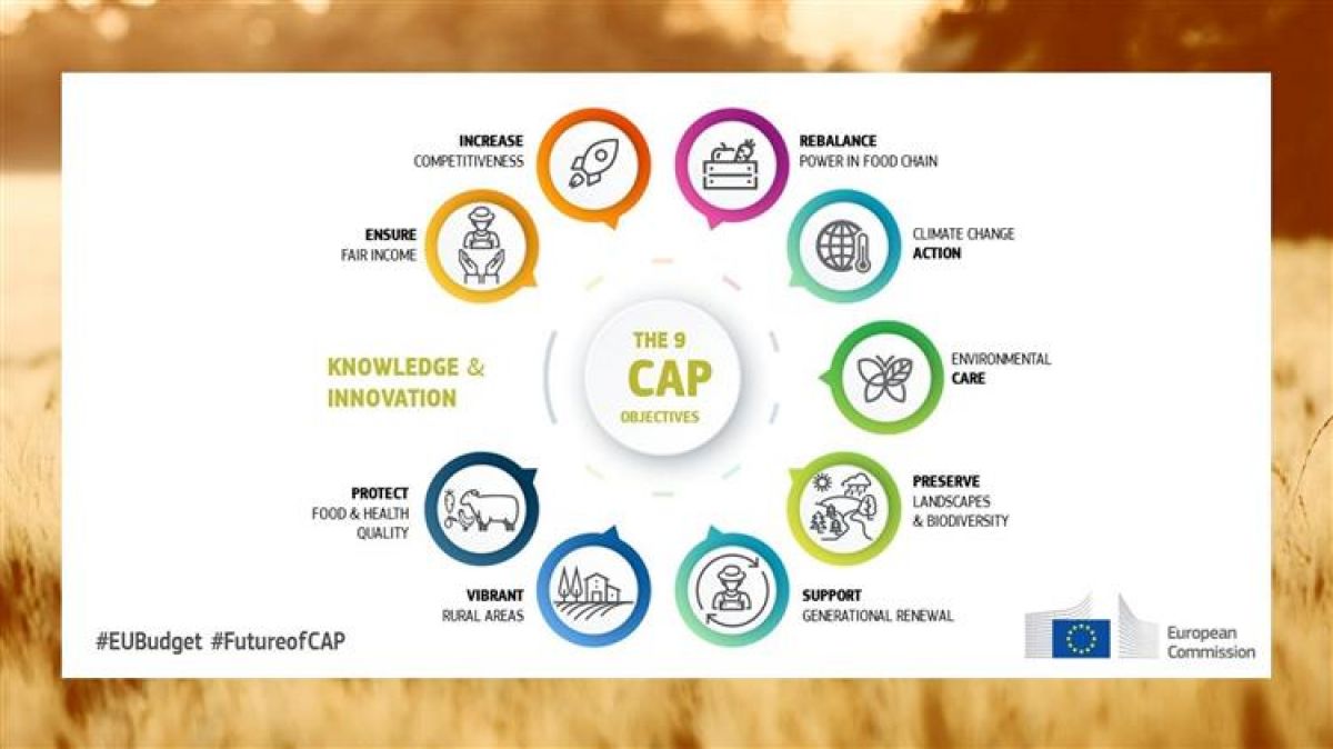 Κοινή Γεωργική Πολιτική: Πώς η ΕΕ στηρίζει τους αγρότες της;