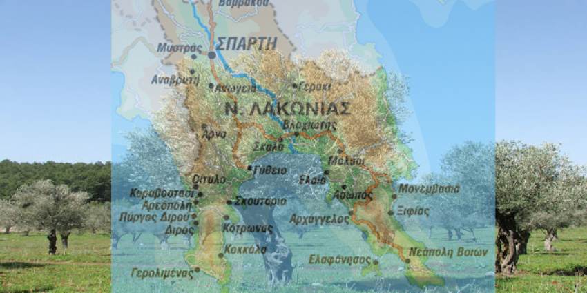 Σε απόγνωση οι Λάκωνες ελαιοπαραγωγοί: Συνιστούμε στον κ. Νίκα και στην Παράταξή του περισυλλογή αντί πανηγυρισμών για την απόφαση του ΣτΕ