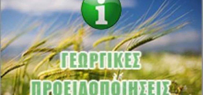 ΓΕΩΡΓΙΚΕΣ ΠΡΟΕΙΔΟΠΟΙΗΣΕΙΣ- ΕΣΠΕΡΙΔΟΕΙΔΗ ΚΑΙ ΕΛΙΕΣ