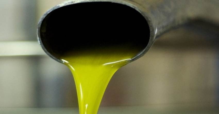 Με τιμές γύρω στα 5 ευρώ βγαίνει ο χρόνος στο ελαιόλαδο, 20 τόνους έδωσε η Παλαιοπαναγιά