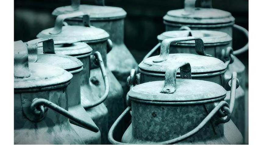 Γάλα: Κενό στην αγορά από το μειωμένο ζωικό κεφάλαιο