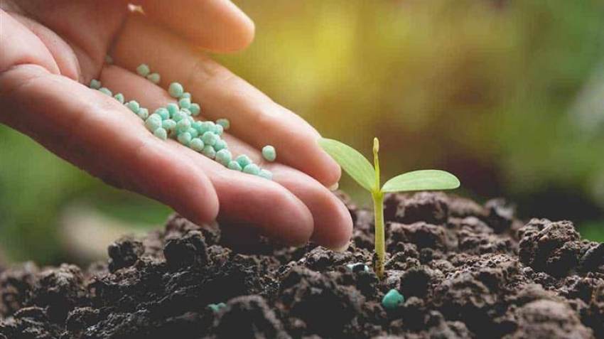 FAO: Νέα δεδομένα για την σωστή ποσότητα λιπάσματος στις καλλιέργειες