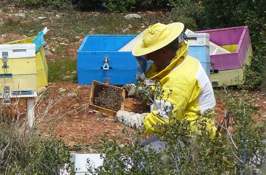 ΠΑΡΑΤΑΣΗ ΕΩΣ ΤΙΣ 14 ΙΟΥΛΙΟΥ ΓΙΑ ΤΗΝ ΥΠΟΒΟΛΗ ΑΙΤΗΣΕΩΝ ΣΤΗ ΔΡΑΣΗ «ΕΞΟΠΛΙΣΜΟΣ ΔΙΕΥΚΟΛΥΝΣΗΣ ΜΕΤΑΚΙΝΗΣΕΩΝ» ΤΟΥ ΜΕΛΙΣΣΟΚΟΜΙΚΟΥ ΠΡΟΓΡΑΜΜΑΤΟΣ