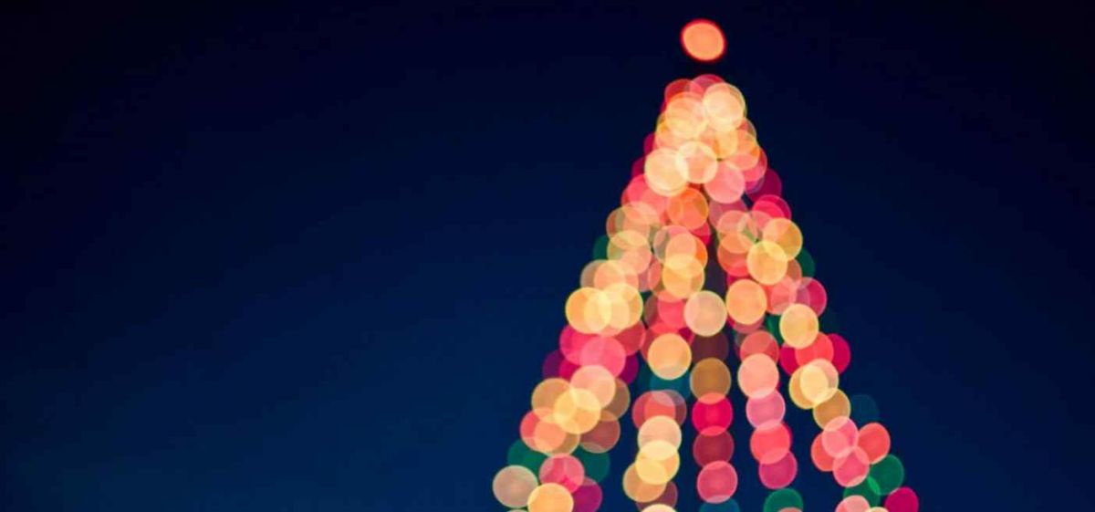 ΦΩΤΑΓΩΓΗΣΗ ΤΟΥ ΧΡΙΣΤΟΥΓΕΝΝΙΑΤΙΚΟΥ ΔΕΝΤΡΟΥ ΣΤΗΝ ΣΚΑΛΑ ΣΤΗΝ ΠΛΑΤΕΙΑ ΠΗΓΩΝ