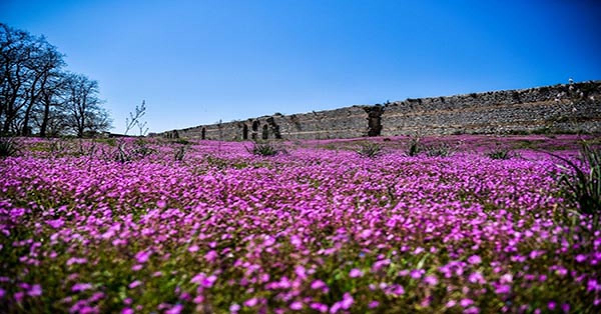 Αίθριος ο καιρός σήμερα Παρασκευή 2/4, αισθητή άνοδος της θερμοκρασίας