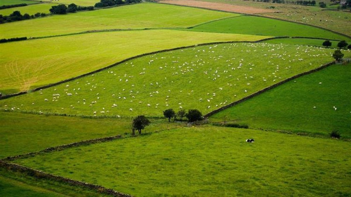 Εκτός βιολογικής γεωργίας οι νέοι αγρότες