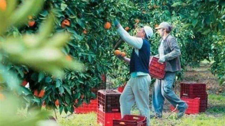 -ΕΦΚΑ: Δυνατότητα ελεύθερης επιλογής ασφαλιστικής κατηγορίας και για τους εργάτες γης