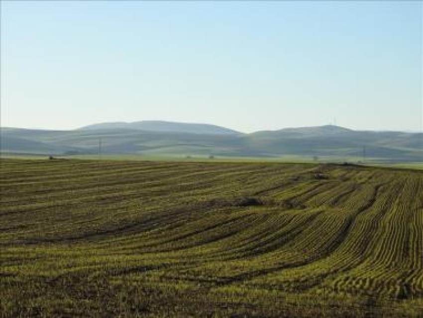 Μέχρι 15 Νοεμβρίου ανοικτό το σύστημα από ΟΠΕΚΕΠΕ, τι μεταβολές μπορούν να γίνουν