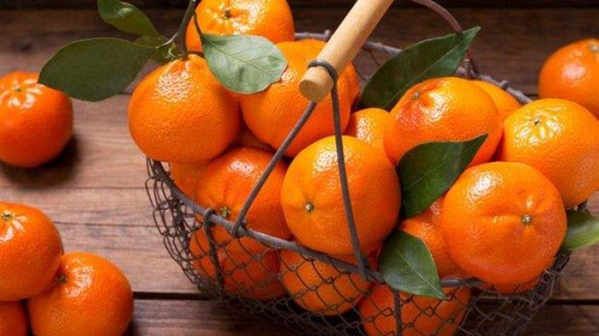 Η Λευκορωσία εξαιρεί από το εμπάργκο στις εισαγωγές τροφίμων από τη Δύση τα ακτινίδια και κλημεντίνες