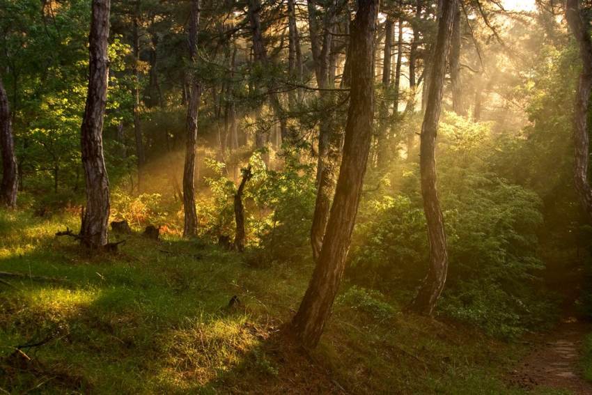 Η Γ.Σ.Ε.Ε. για την Παγκόσμια Ημέρα Περιβάλλοντος στις 5 Ιουνίου