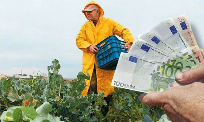 Δεύτερο δεκαήμερο Ιουνίου πληρώνει αποζημιώσεις ο ΕΛΓΑ, εξόφληση εισφορών 2019 και 2020