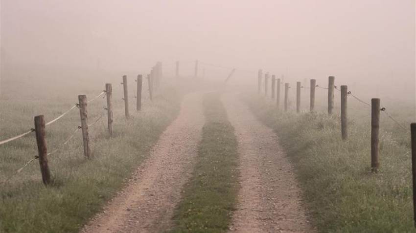 ΟΠΕΚΕΠΕ: Ξετυλίγεται το κουβάρι μεγάλης απάτης με τα βοσκοτόπια