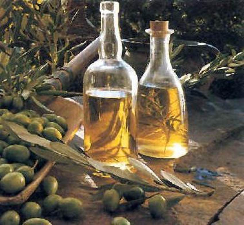 Ελαιόλαδο: GPS σε σχήμα…ελιάς εναντίον των κλεφτών