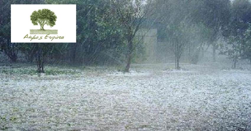 Ανακοίνωση ΕΛΓΑ για τις ζημιές από το χαλάζι της 26-01-2023 στο Δήμο Ευρώτα