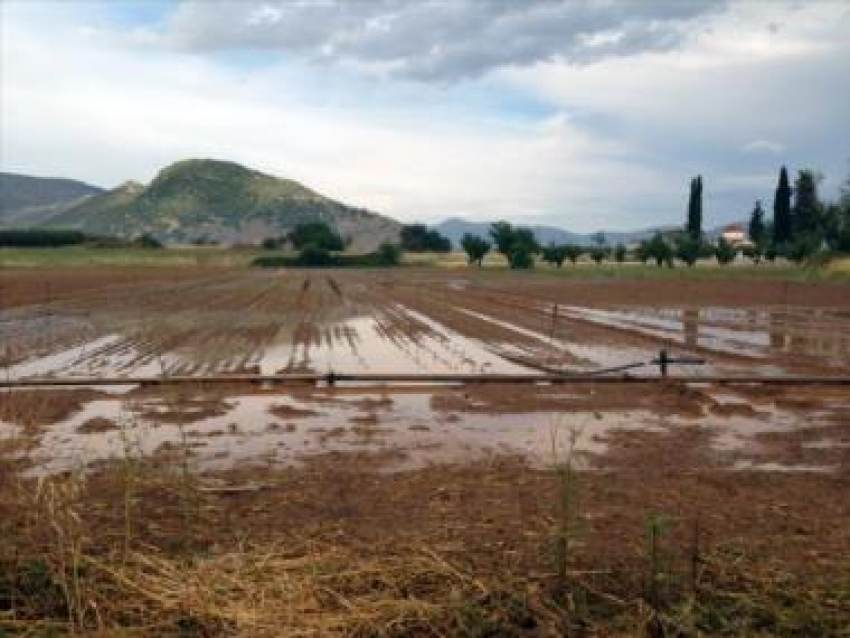 Πελοπόννησος: Ευάλωτη λόγω κλιματικής αλλαγής