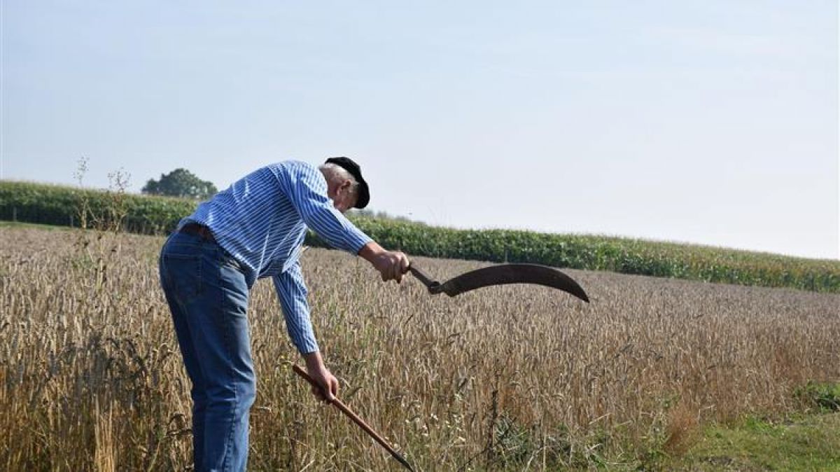 Με λίγα λόγια η πληρωμή της Προκαταβολής της Βασικής Ενίσχυσης