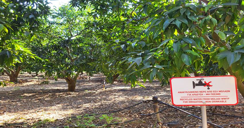 Άρδευση Καλλιεργειών με το Νερό από το Βιολογικό Καθαρισμό Μολάων