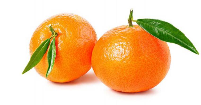 Ενισχύσεις για απώλεια εισοδήματος ζητούν οι παραγωγοί Κλημεντίνης στην Λακωνία