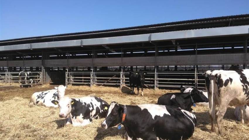 ΕΦΧΕ: Για την μη πληρωμή της ενίσχυσης για τη Δράση 10.1.09