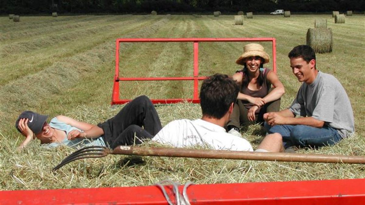 Νέοι αγρότες: Σήμερα ξεκινούν οι αιτήσεις