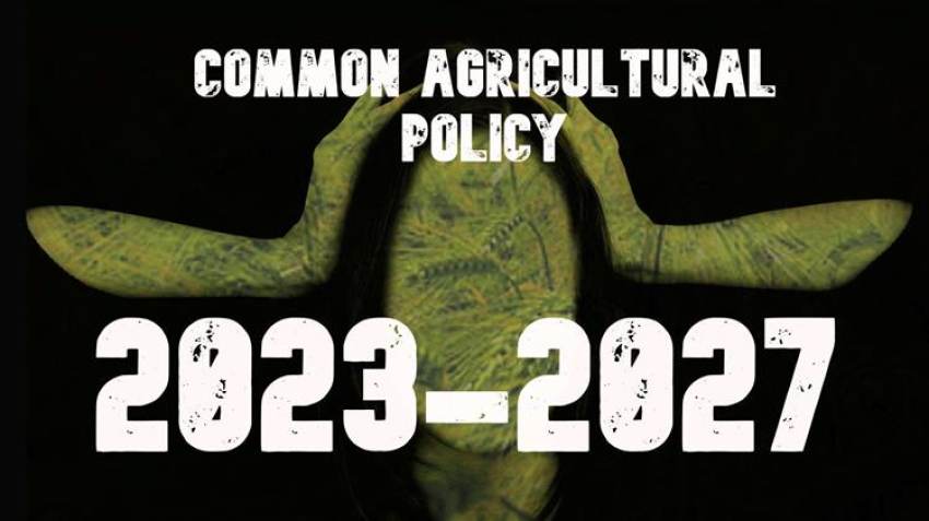 Γιατί κινδυνεύουν να χαθούν οι αγροτικές επιδοτήσεις;