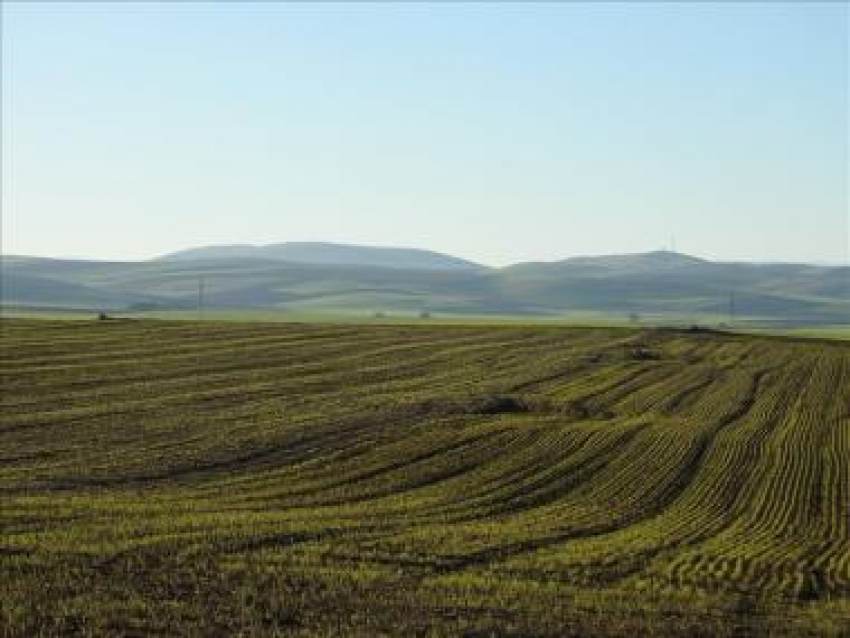 Νέα διοίκηση αναλαμβάνει τον ΟΠΕΚΕΠΕ