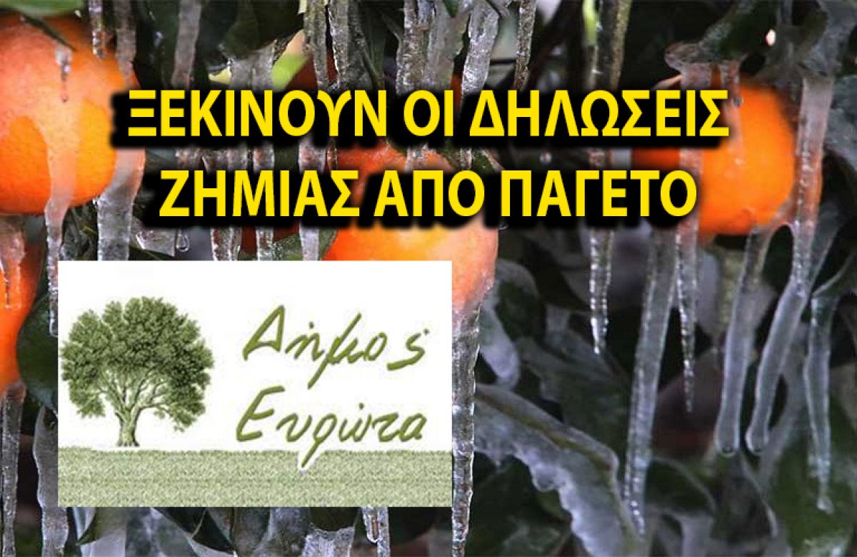 ΔΗΜΟΣ ΕΥΡΩΤΑ: ΟΔΗΓΙΕΣ ΓΙΑ ΤΗΝ ΥΠΟΒΟΛΗ ΔΗΛΩΣΕΩΝ ΖΗΜΙΑΣ ΑΠΟ ΠΑΓΕΤΟ