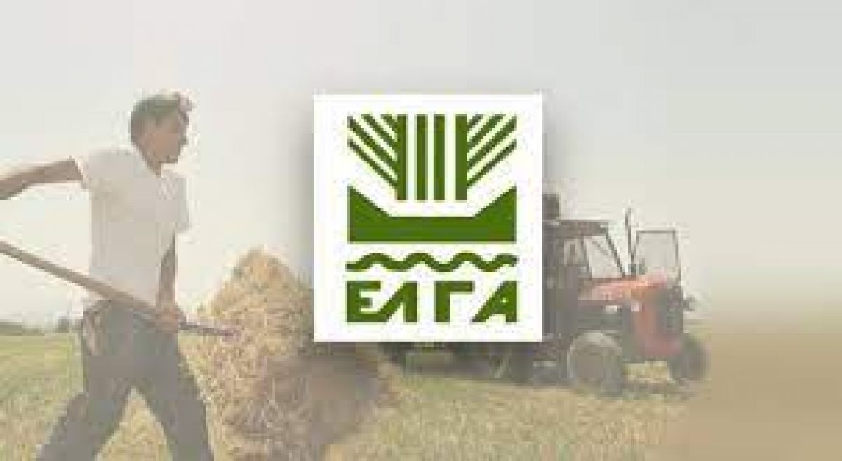 Να υπαχθεί και η Κορινθία στο υποκατάστημα Τρίπολης του ΕΛΓΑ, αντί της Πάτρας που τώρα υπάγεται, ζητεί από τον Οργανισμό ο περιφερειάρχης Π. Νίκας