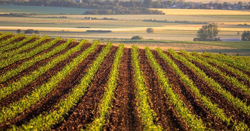 Αιτήσεις για τα σχέδια βελτίωσης γεωργικών εκμεταλλεύσεων