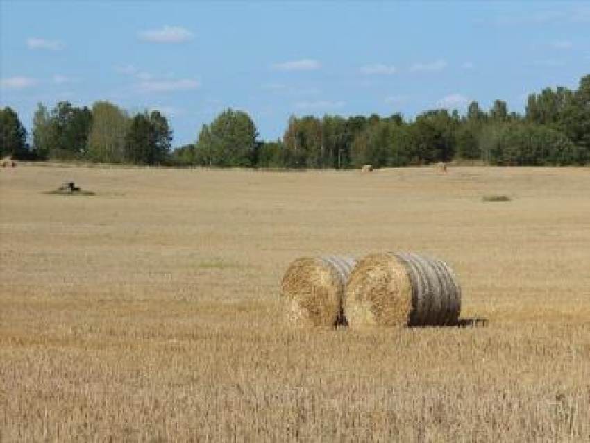 Διευκρινίσεις για την κατανομή Εθνικού Αποθέματος 2021
