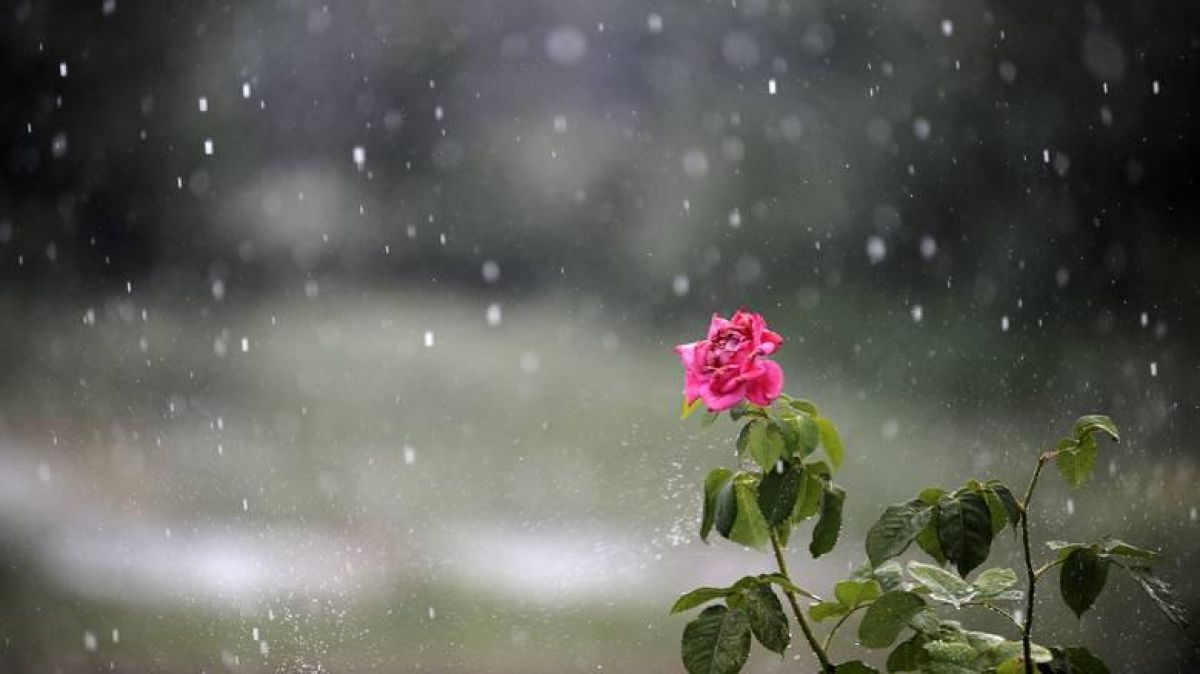 Φθινοπωρινός ο καιρός σήμερα: Συννεφιά και βροχές