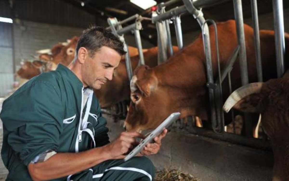 ΚΑΠ: Αυξήθηκαν τα προγράματα κατάρτισης και καινοτομίας για τους αγρότες της ΕΕ