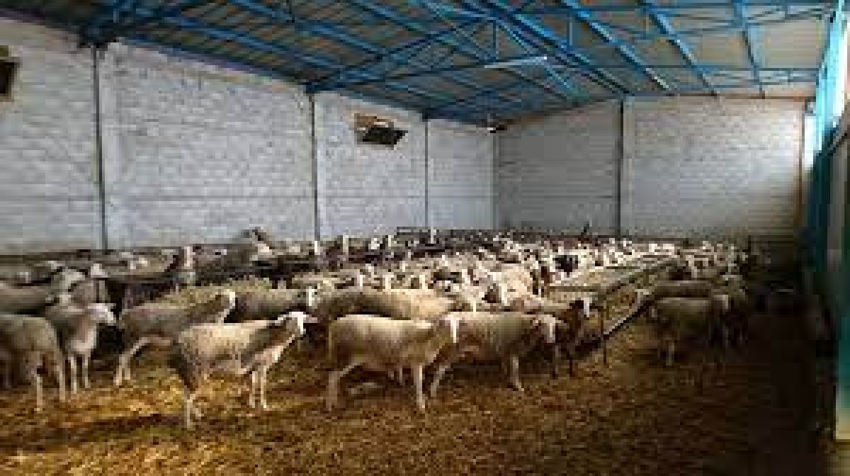 Υπεγράφη η Κοινή Υπουργική Απόφαση σχετικά με την διεύρυνση της ένταξης των πτηνοτροφικών μονάδων