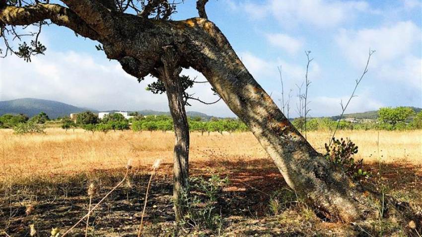 Ισπανία: 2 δισεκατομμύρια ευρώ για την στήριξη του πρωτογενή τομέα