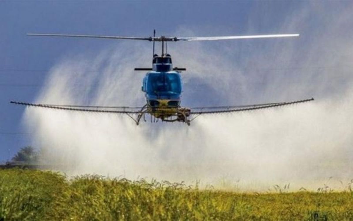 ΒΕΛΟΠΟΥΛΟΣ: «Τα κονδύλια δεν επαρκούν να καλύψουν τις ανάγκες για επαρκή δακοκτονία»