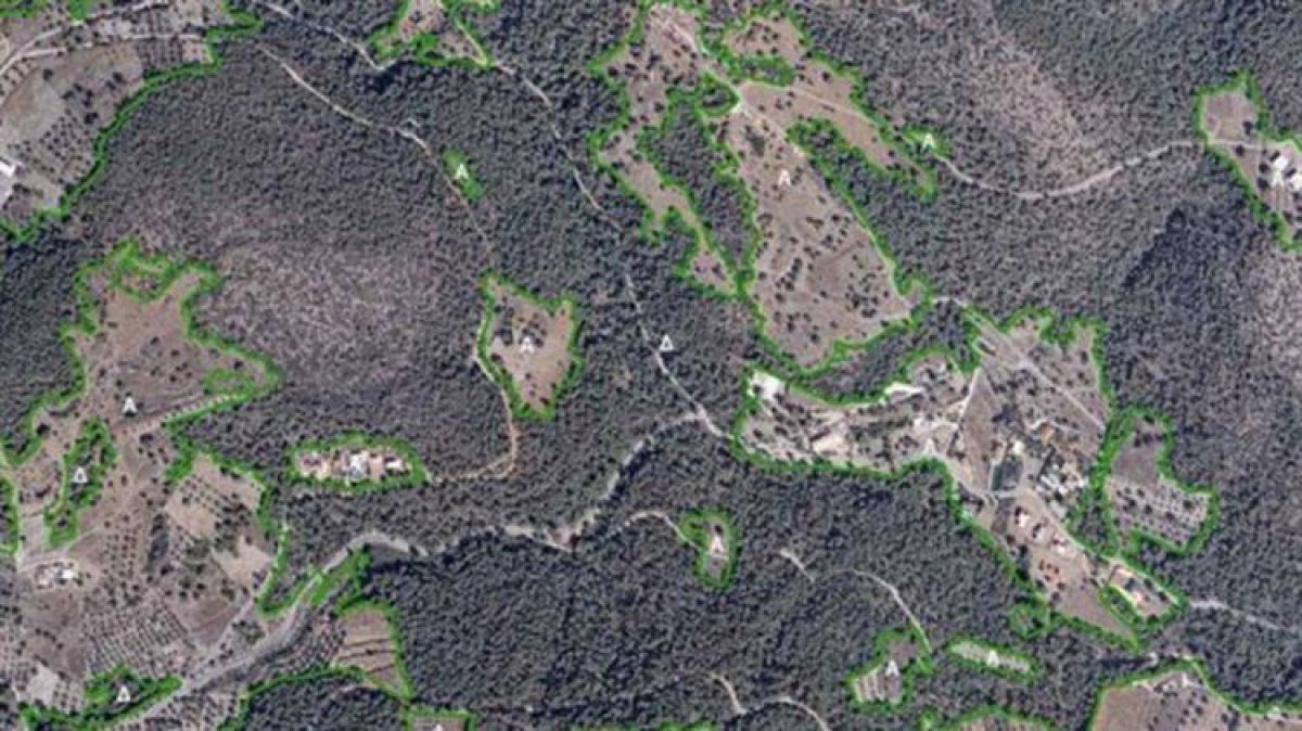 Δασικοί χάρτες: Εξάμηνη παράταση για αναρτήσεις που υλοποιούνται εντός 2021