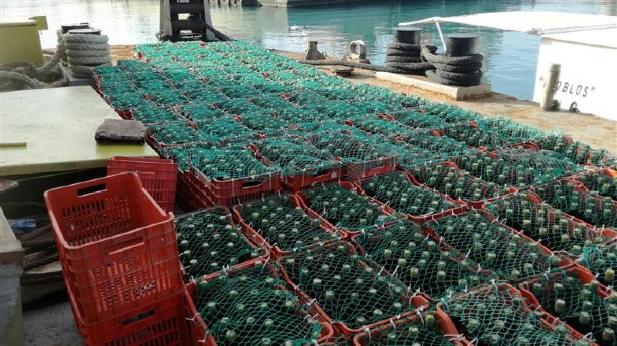 «Ναυάγιο»: 5.000 φιάλες κρασιού 25 μέτρα κάτω από την επιφάνεια της θαλασσας!